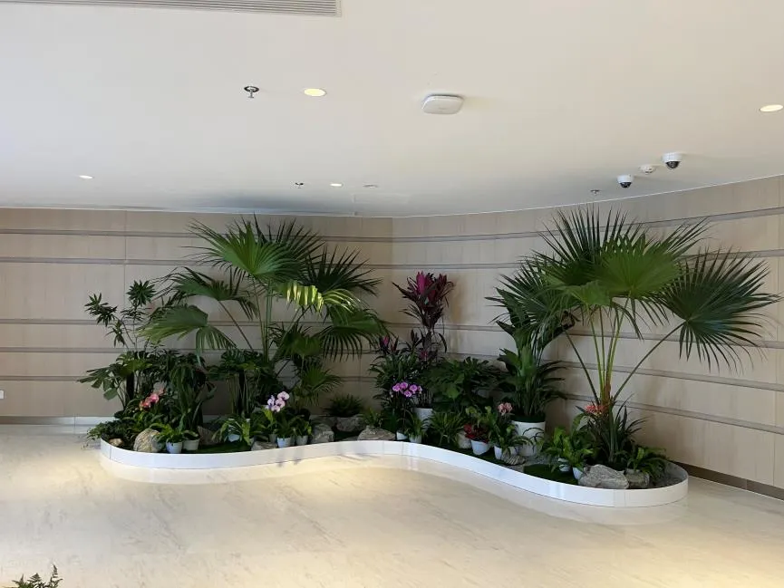 超赞!宁波江北绿化养护服务,品质超乎想象!